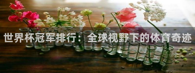 2026 世界杯：世界杯冠军排行：全球视野下的体育奇迹
