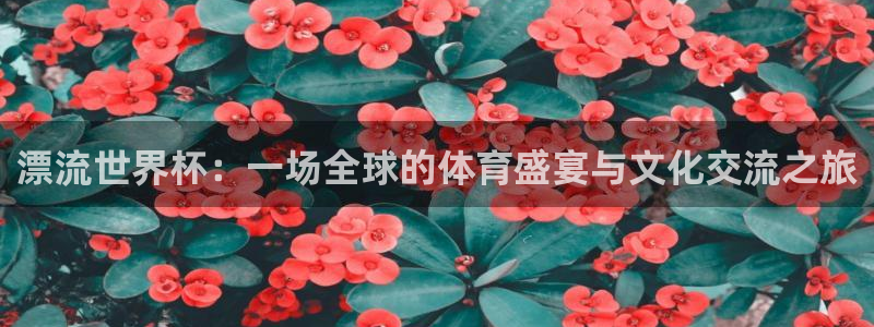 2026世预赛赛程：漂流世界杯：一场全球的体育盛宴与文化交流之旅