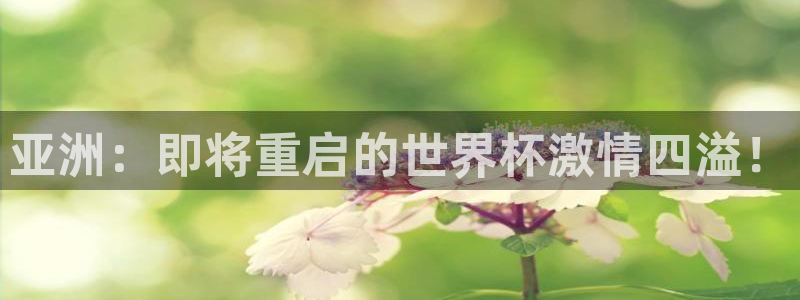 世界杯直播免费观看：亚洲：即将重启的世界杯激情四溢！