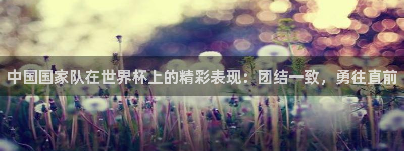 世预赛直播：中国国家队在世界杯上的精彩表现：团结一致，勇往直前