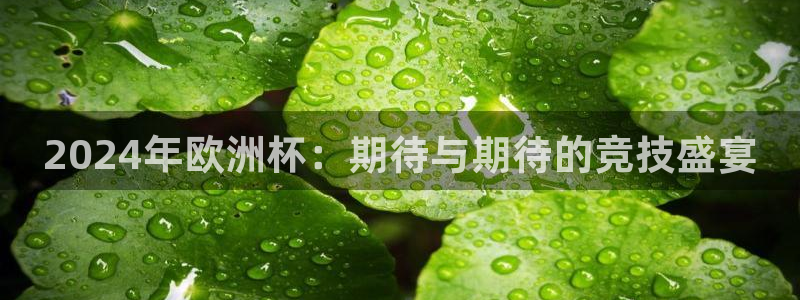 世界杯赛程时间表：2024年欧洲杯：期待与期待的竞技盛宴