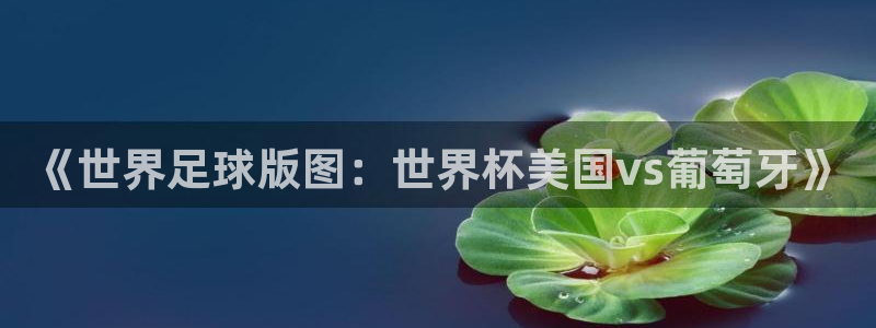 足球世预赛：《世界足球版图：世界杯美国vs葡萄牙》