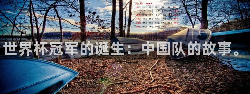 世界杯决赛直播：世界杯冠军的诞生：中国队的故事。