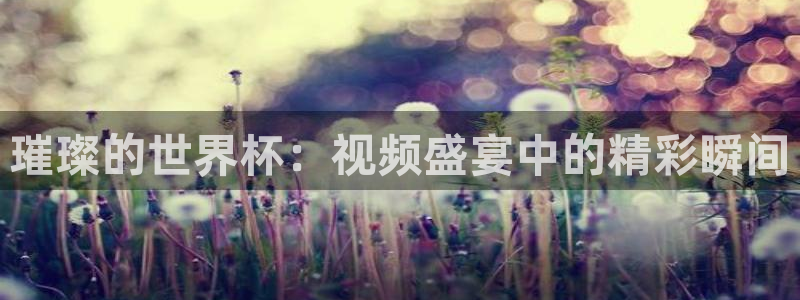 2026年世界杯时间表：璀璨的世界杯：视频盛宴中的精彩瞬间
