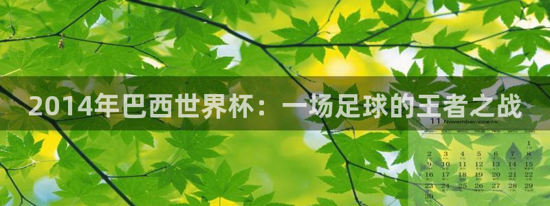 世预赛欧洲赛程表：2014年巴西世界杯：一场足球的王者之战