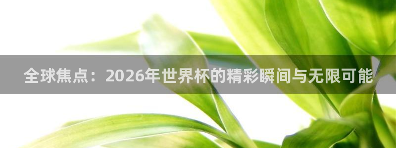 世界杯预选赛欧洲：全球焦点：2026年世界杯的精彩瞬间与无限可能