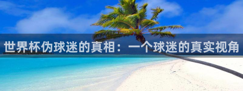2026世界杯赛程表完整版：世界杯伪球迷的真相：一个球迷的真实视角