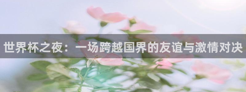 世界杯预选赛2026：世界杯之夜：一场跨越国界的友谊与激情对决