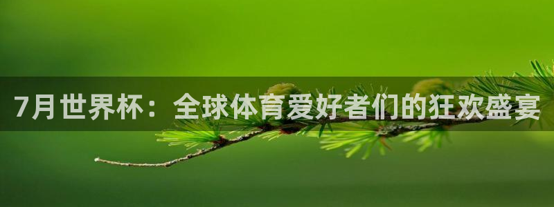 世界杯预选赛欧洲:7月世界杯:全球体育爱好者们的狂欢盛宴