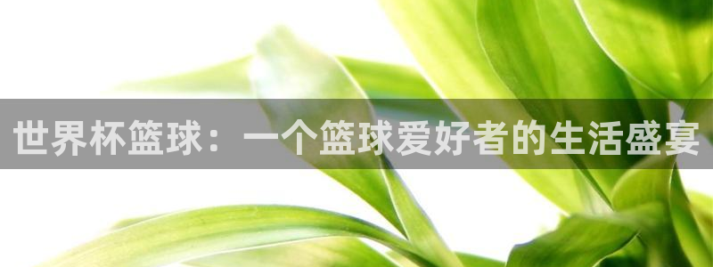 今年的世界杯：世界杯篮球：一个篮球爱好者的生活盛宴