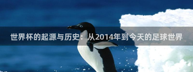 世界杯预选赛亚洲区赛程：世界杯的起源与历史：从2014年到今天的足球世界