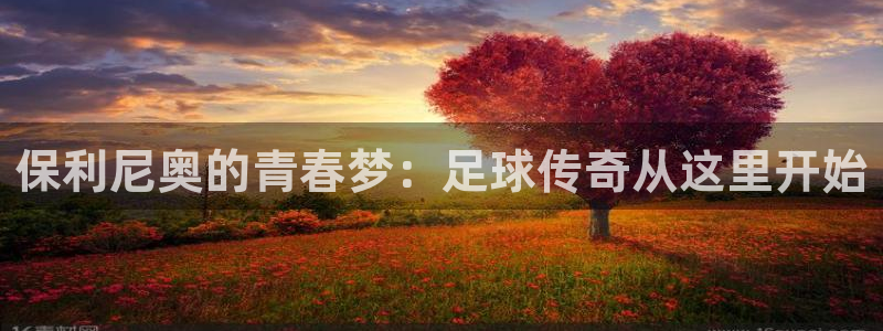 世界杯欧洲区预选赛：保利尼奥的青春梦：足球传奇从这里开始