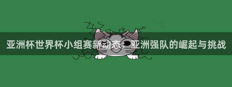 世界杯决赛直播：亚洲杯世界杯小组赛新动态：亚洲强队的崛起与挑战